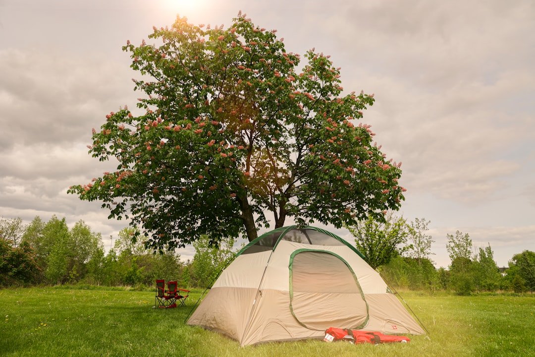 Coleman 8-Person Tent Deal: $100 + Free Shipping