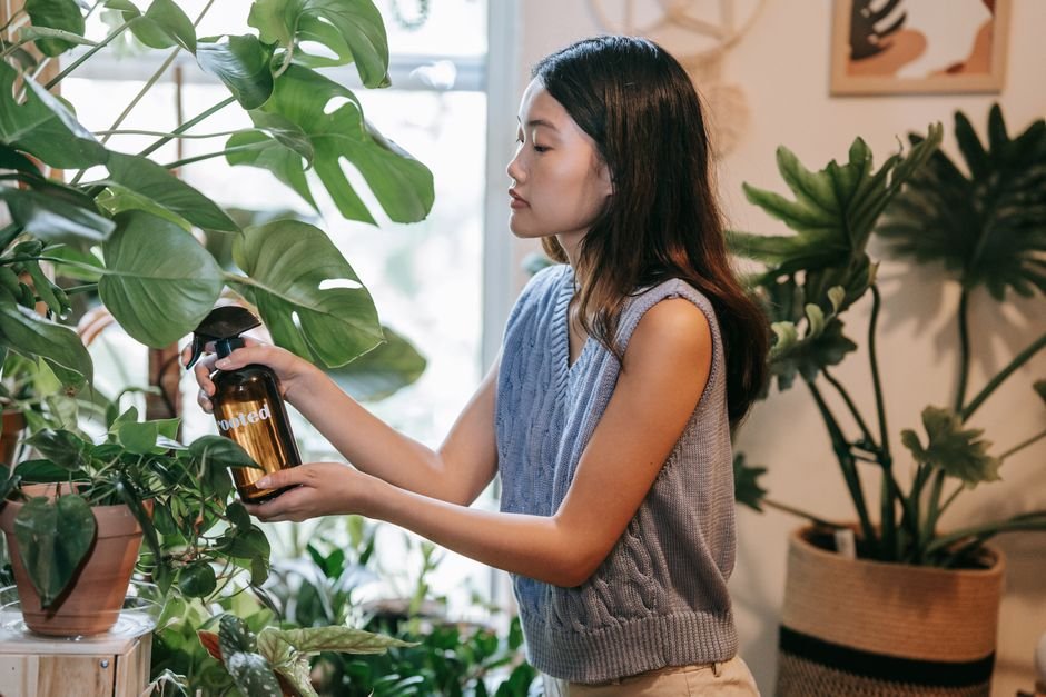 Gemini's Plant Care: Your Houseplants Will Thrive
