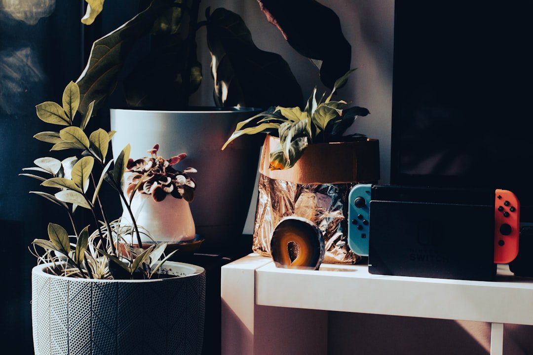 Amazing! Nintendo Talking Flower $30 Deal! Shop Now!