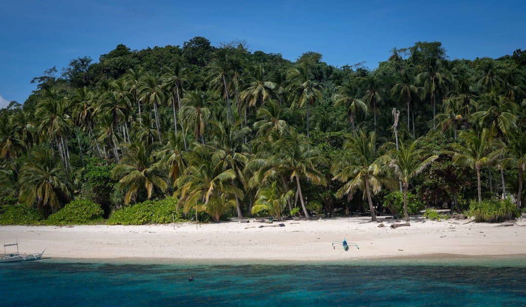 Amazon Deal: 60% Off Tropical Escapes - Shop Now!