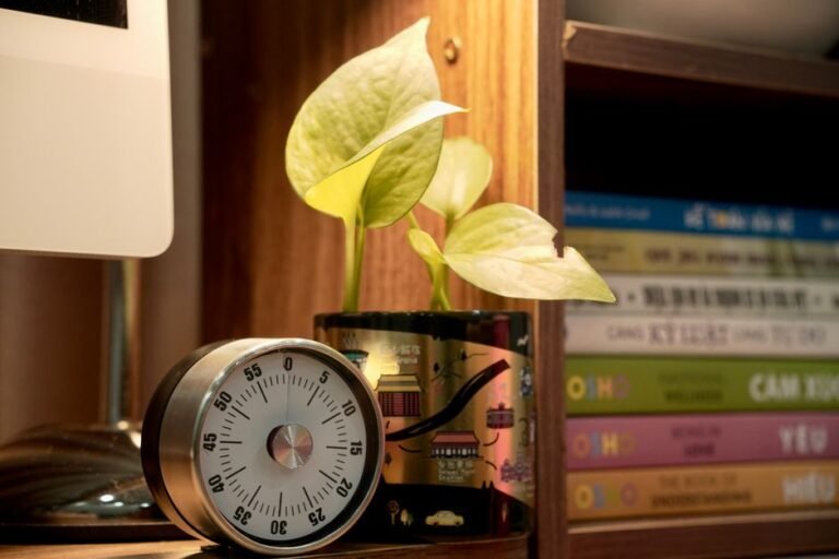 Amazon Deal: Loud Timer $1 + Free Shipping!