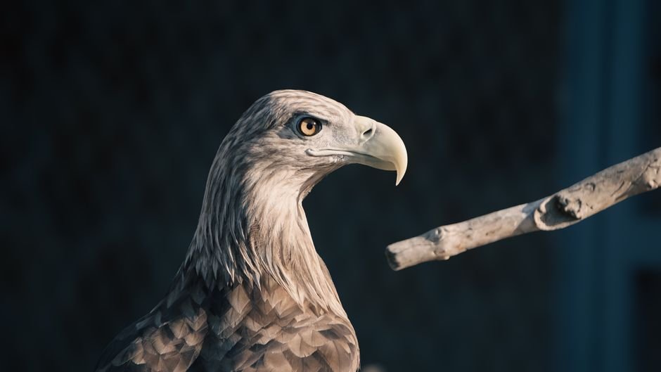 Creality Falcon Deal: Up to 52% Off! Shop Now