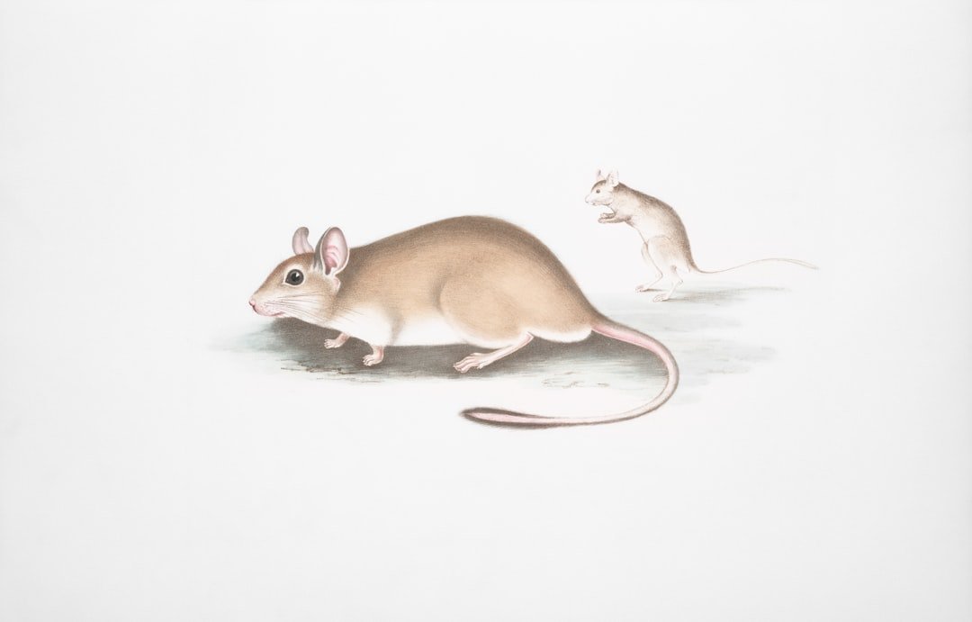 Best Back-to-School Mice: Top Picks & Deals