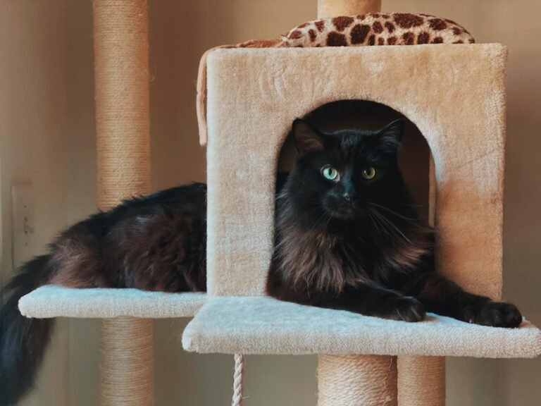 Tech News: This Cat Tree Is Worthy of Your Living Room. It’s Also Wildly Expensive.