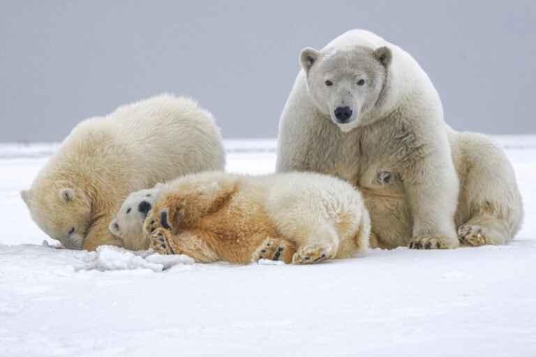 Prime Members: HAPBEAR 68"×24" Non-Slip Mat $14 + Free Shipping